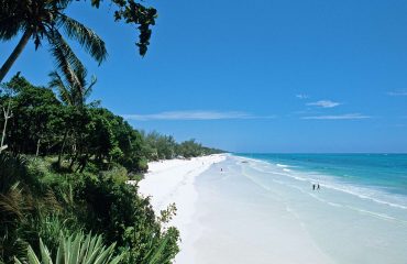 Diani swimming at the beach