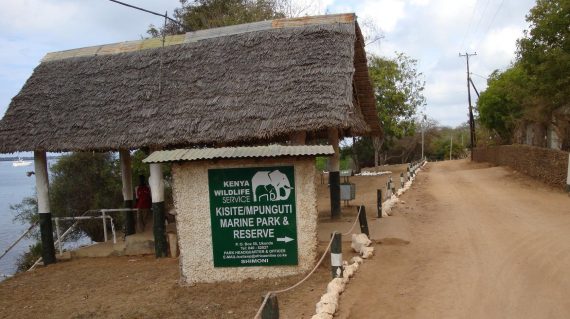 Kisite Mpunguti Tours by Disney Wolrd Kenya