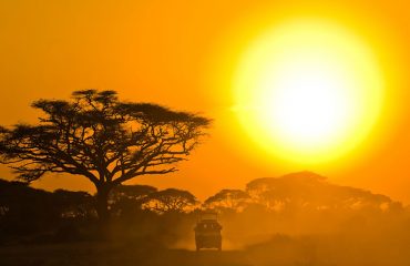 Amboseli professional tour guides