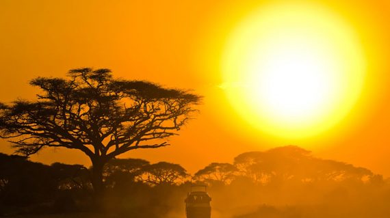 Amboseli professional tour guides