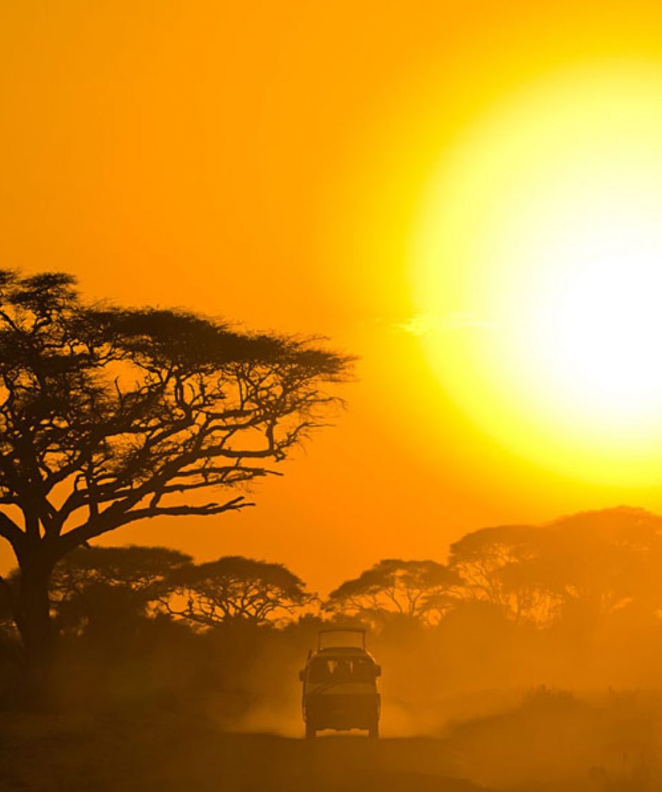 Amboseli professional tour guides