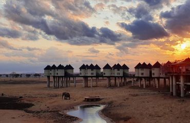 Tsavo-by-Disney-World-Tours-Kenya